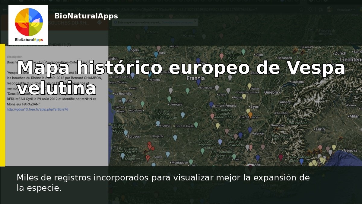 Vespa Velutina amplía su mapa histórico europeo