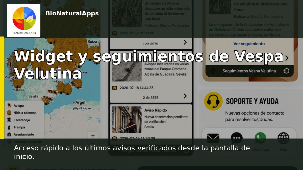 Widget renovado y más de 3.500 seguimientos en Vespa Velutina